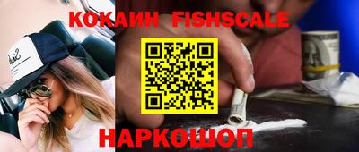 спиды Новодвинск