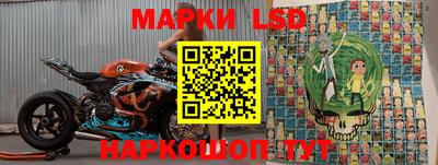спиды Новодвинск
