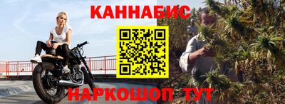 спиды Новодвинск