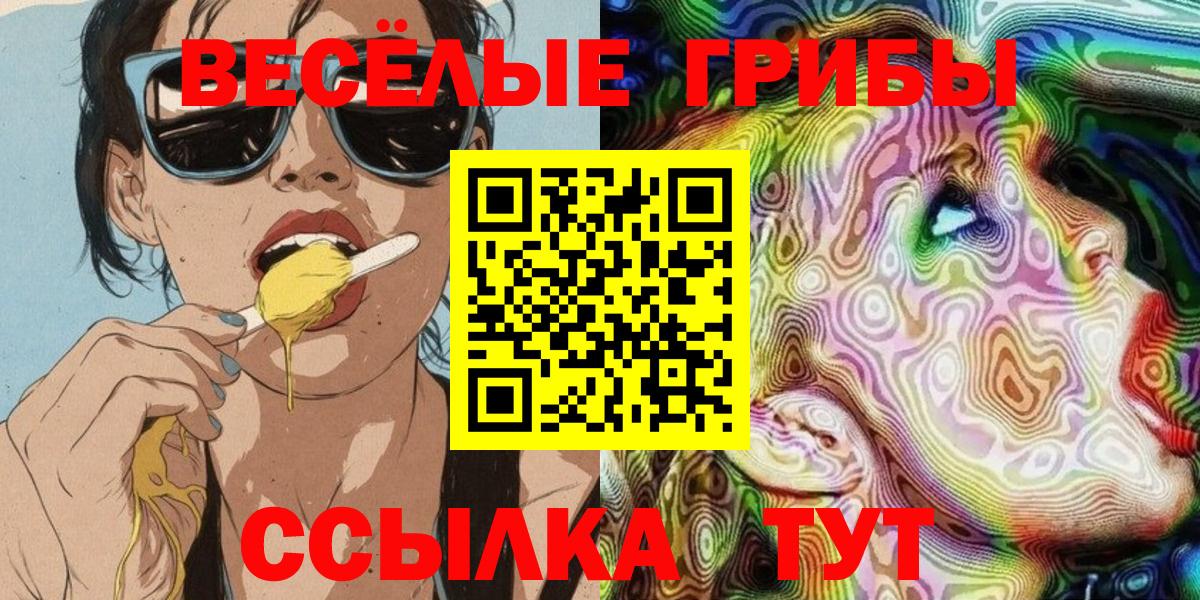 Галлюциногенные грибы Magic Shrooms  Вход с VPN  Сочи  Псилоцибиновые грибы Psilocybine cubensis 